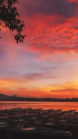 Sunset Trasition 