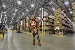 Woody