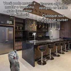 Gato miando