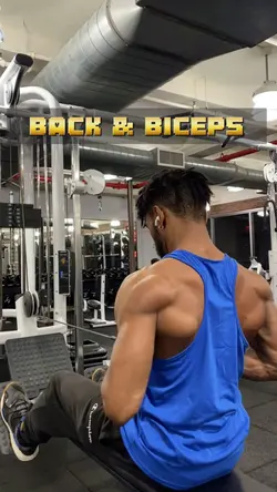 Back & Bicep/Other 