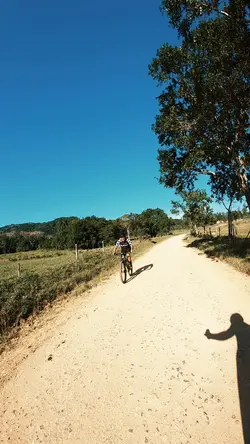 Sport MTB