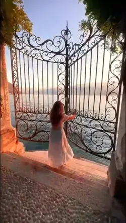 The Wonder.