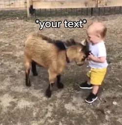 Goat baby