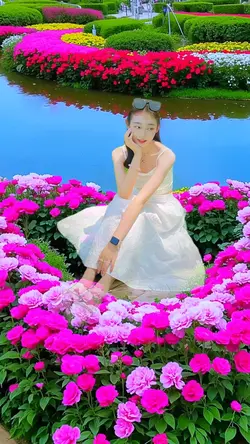 Beautiful garden