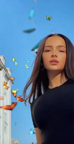 Butterflies 🦋