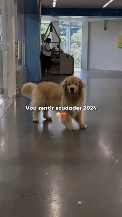 Saudade 2024 🏆🥹