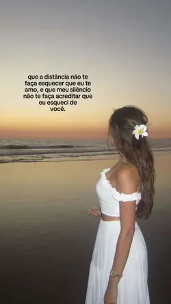 modelo 