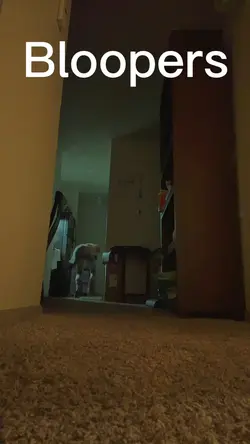 bloopers