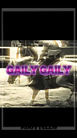 Gaily gaily