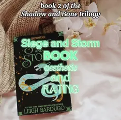 siege and storm book