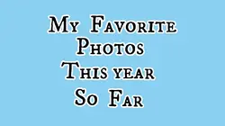2025 pics 