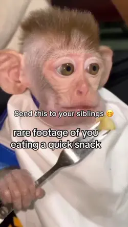 Monkey snack