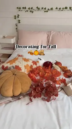 Mini vlog