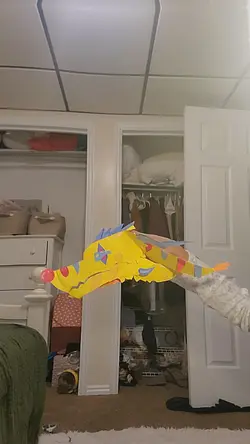 Dragon puppet 