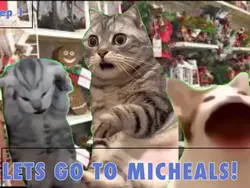 LETS GO TO MICHEALS!