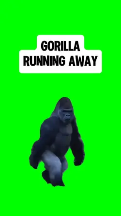 GORILLA RUNNING 