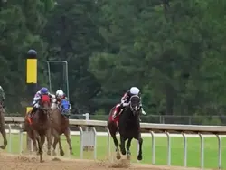 Oaklawn Racing