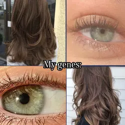 Gene trend