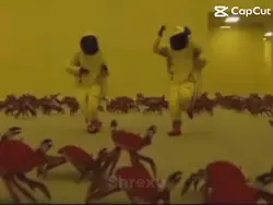 Crabs