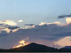 Last goodbye