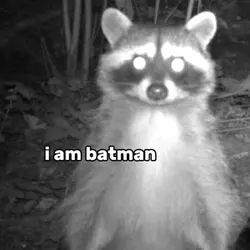batman 🤪😍