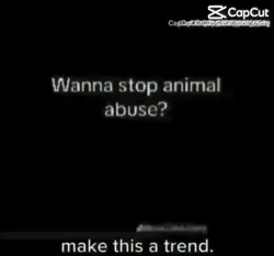 make this a trend.