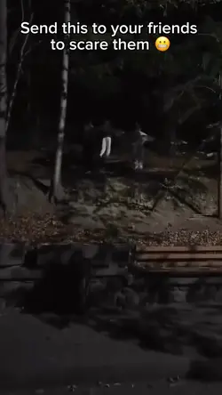 Night scare  