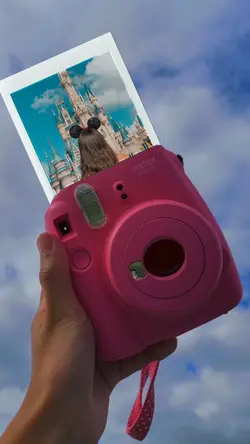 Polaroid 