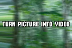 Turn pic to vid