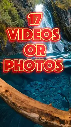 17 videos or photos 