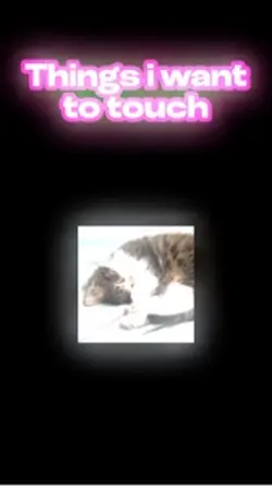 hehe
