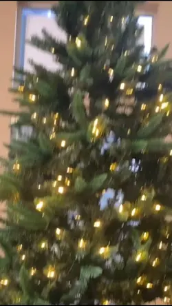 Christmas tree
