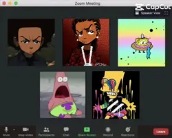 Zoom call