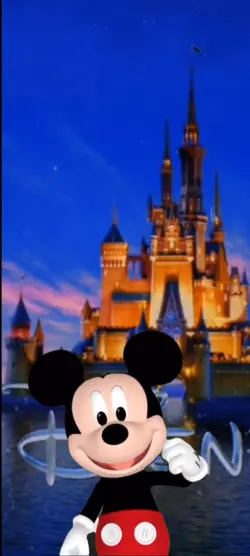 Mickey Mouse House
