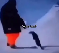 Penguin 😭
