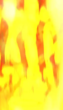 Holi