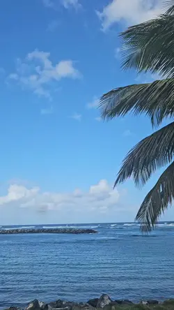Sea the waves sound 