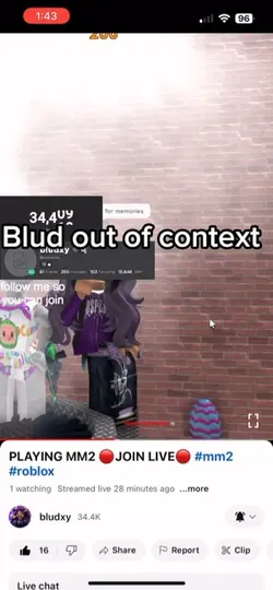 Blud no context