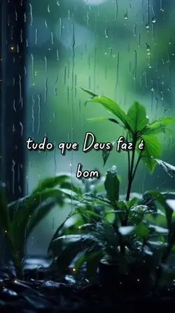 reflexão