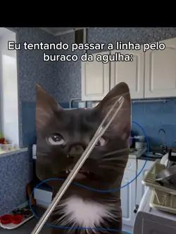 gato chroman key 