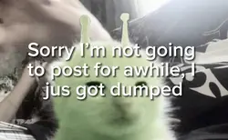 Sorry