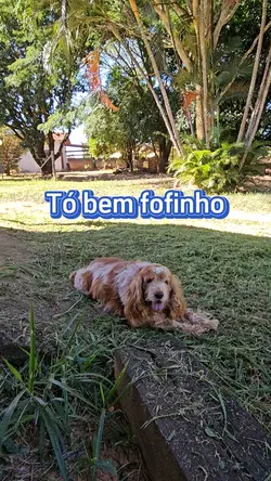 Tô bem fofinho