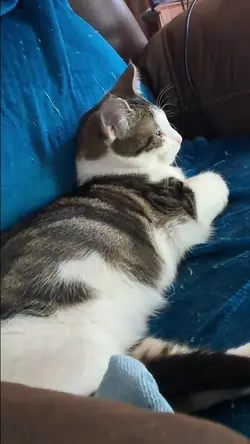 this is my chair