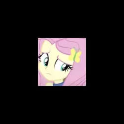 Fluttershy edit