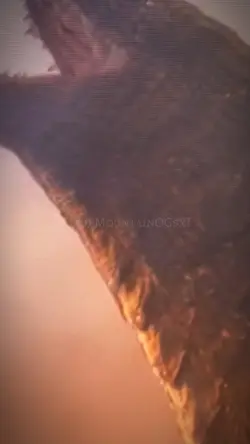 Godzilla edit