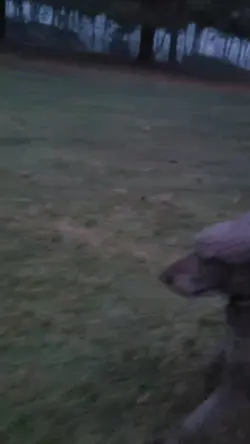 Ralphie!