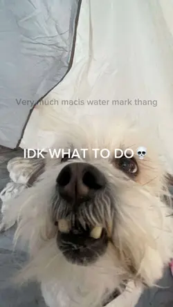 Give me tips