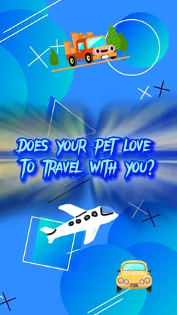 Pet travel 