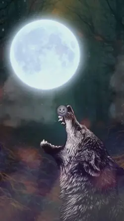 Lobo