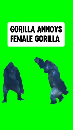 GORILLA ANNOYS  